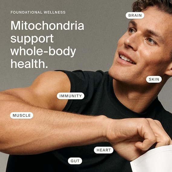 Timeline Mitopure Urolithin A Supplement, Softgels